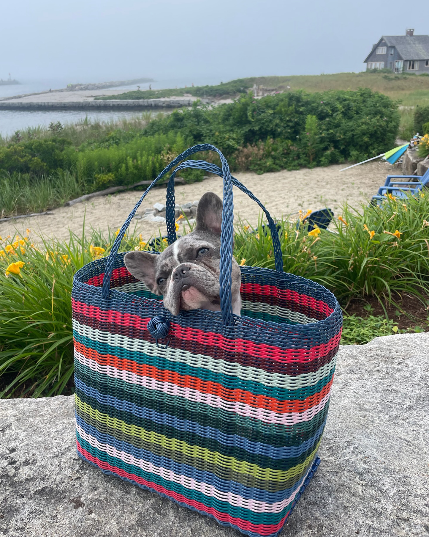 Heavy Load | Multi Stripe