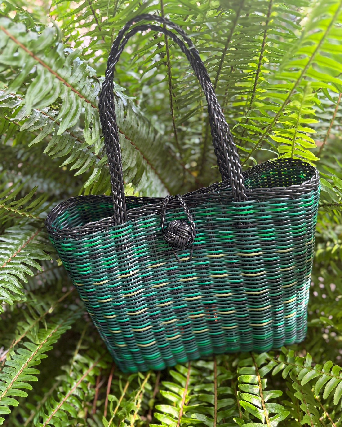 Extra Small | Crocodile