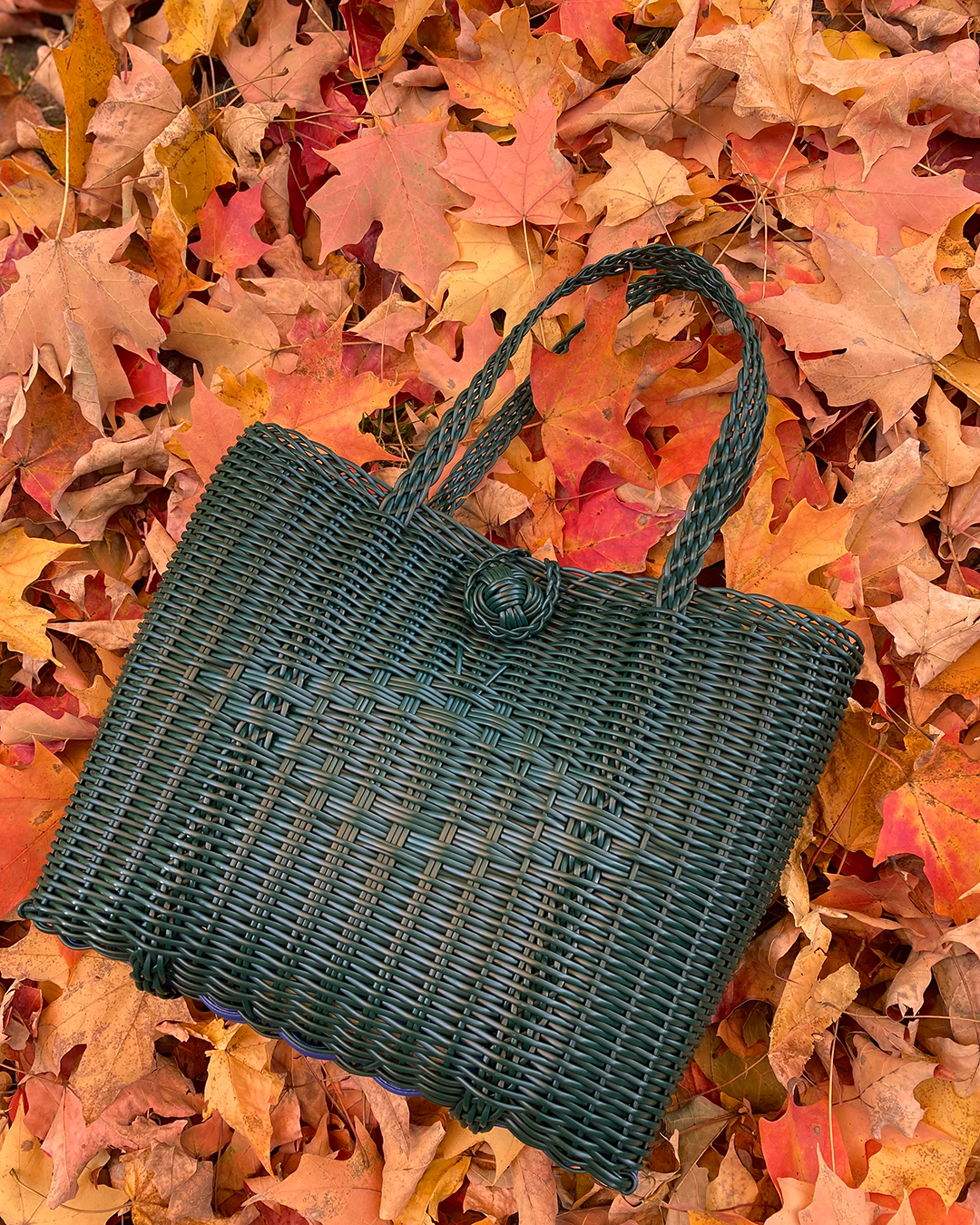 Small | Solid Evergreen
