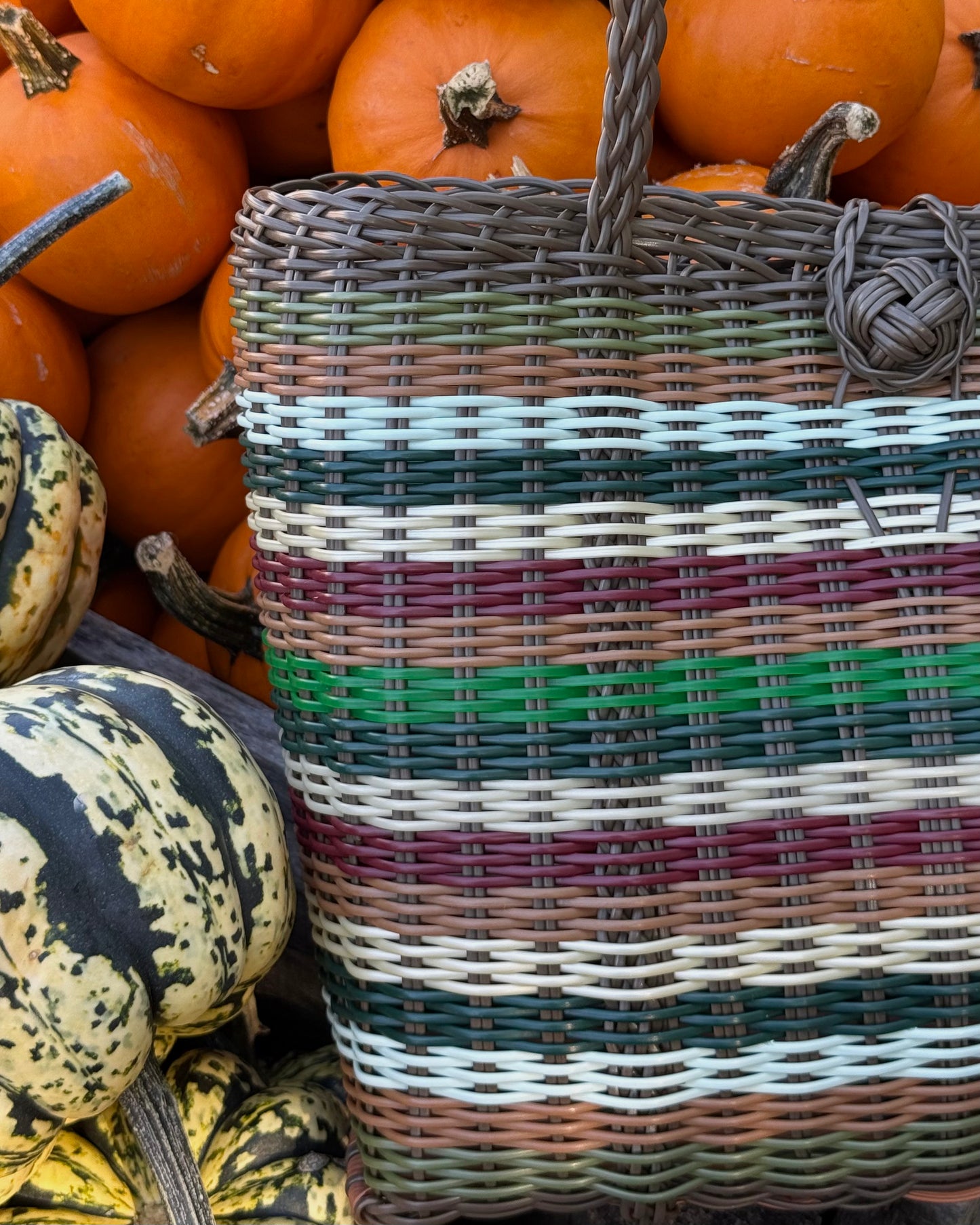 Extra Small | Multi Stripe FWR26