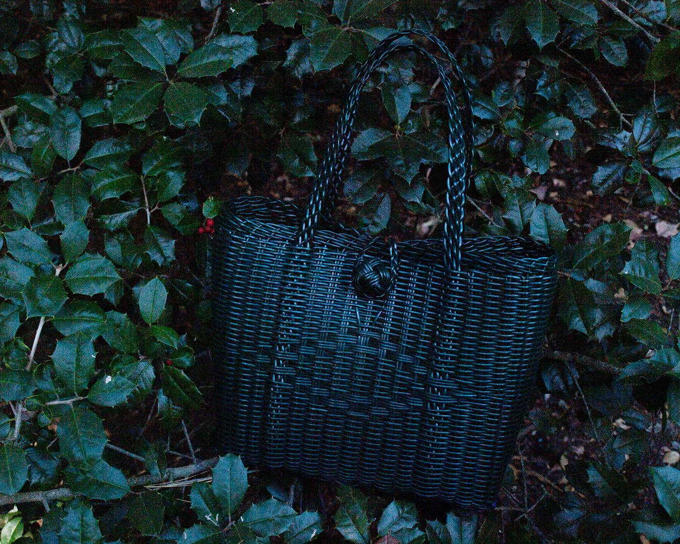 Small | Solid Evergreen