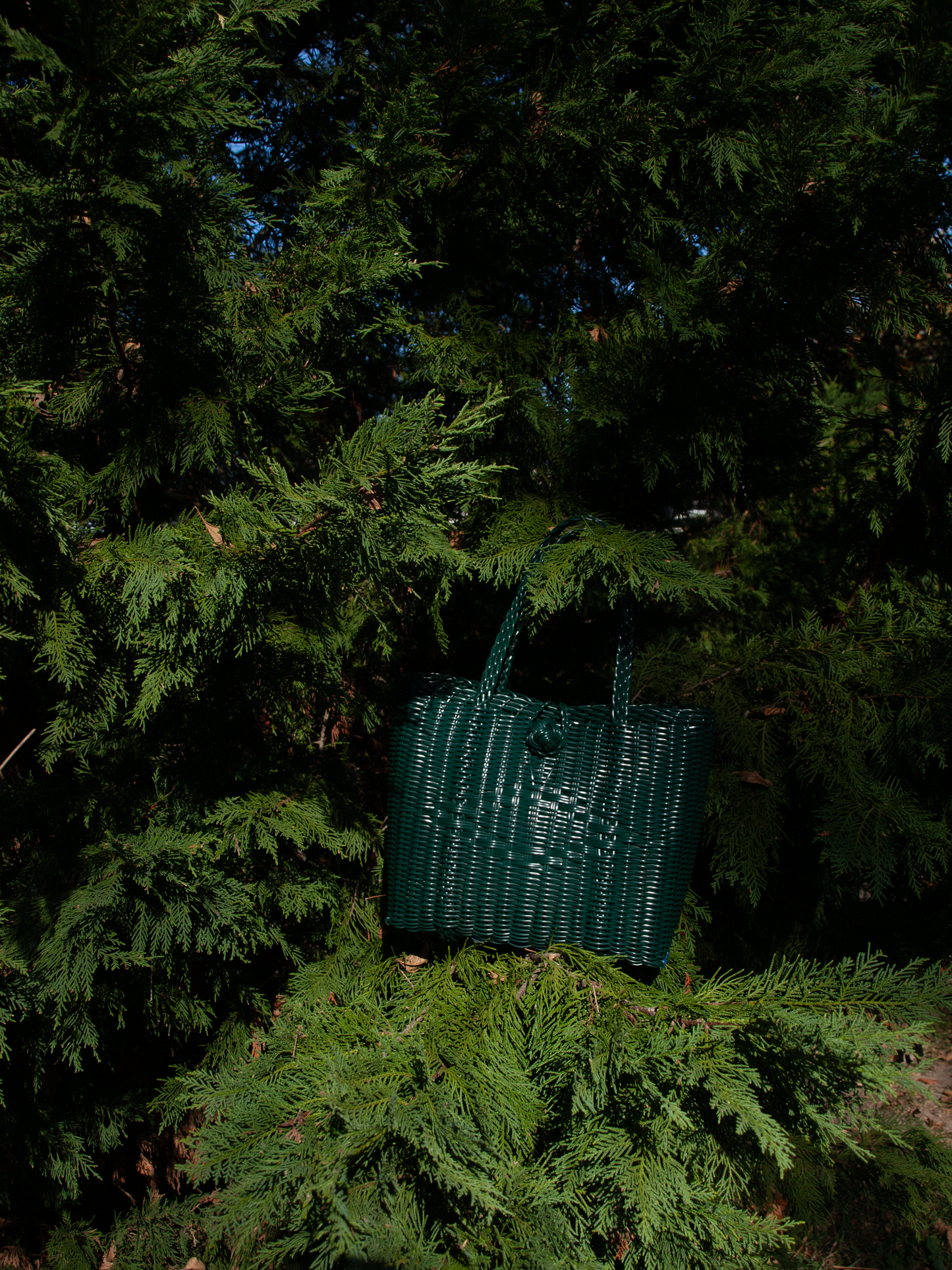 Small | Solid Evergreen