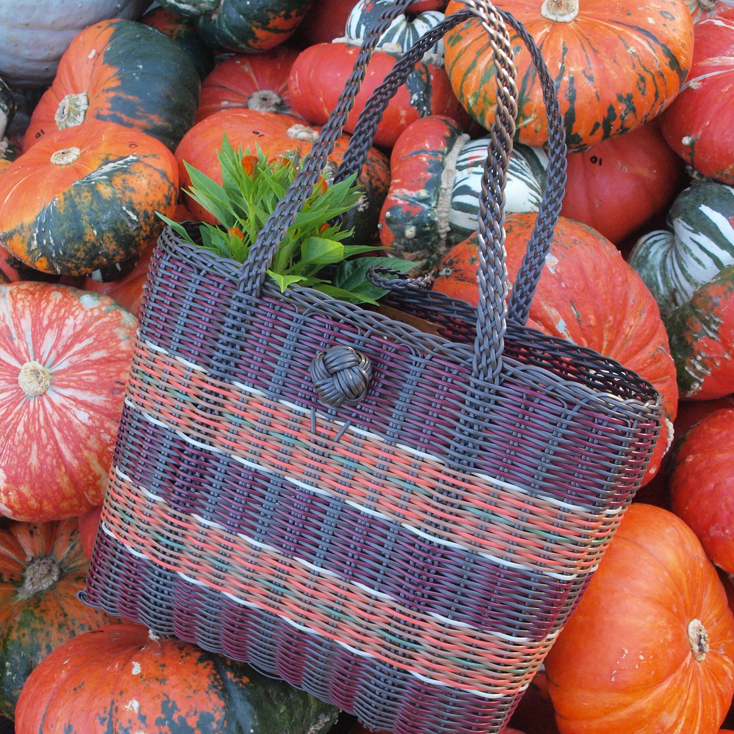 Extra Small | Harvest Plaid