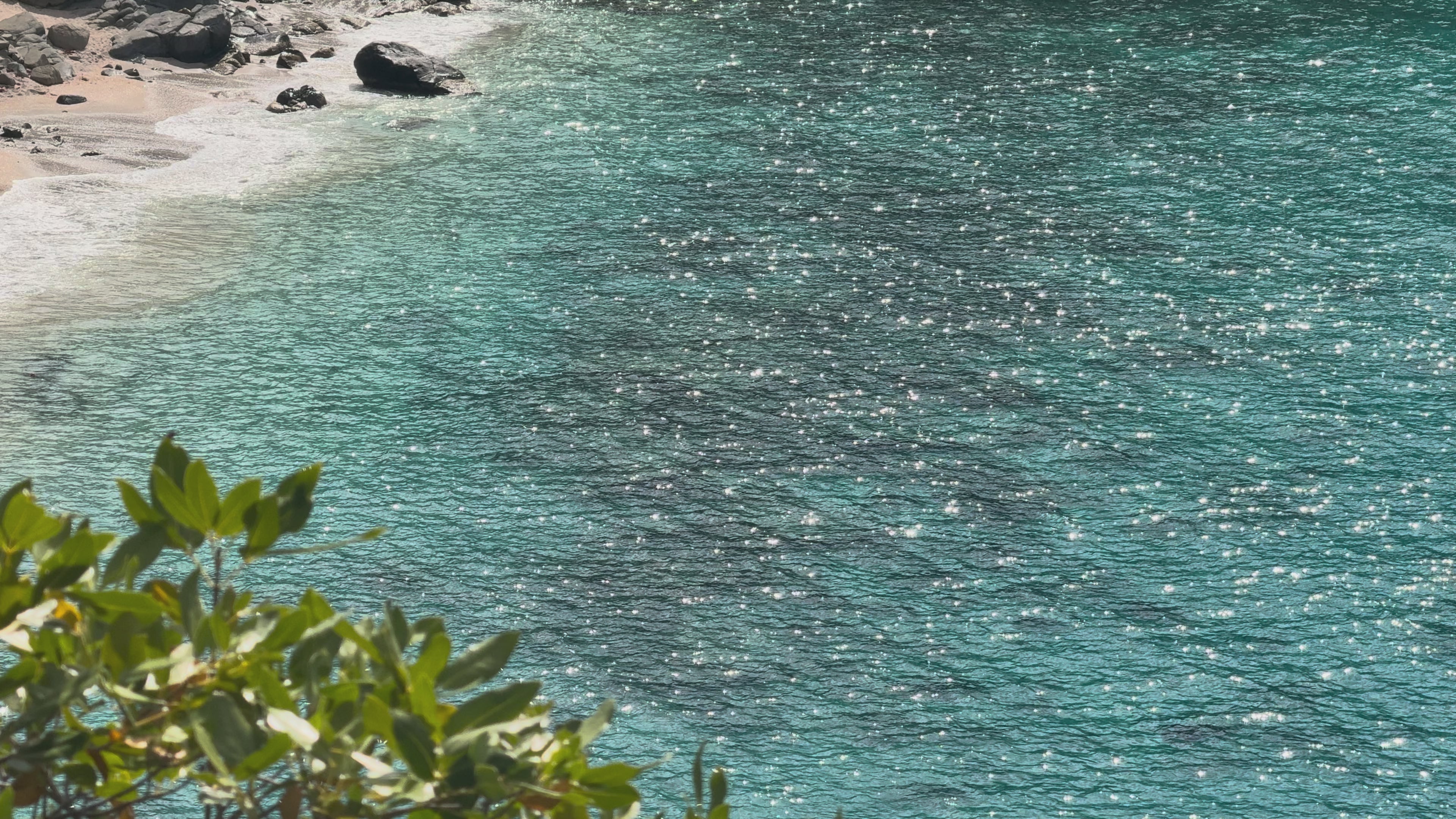Load video: Lilley Line Island Escape